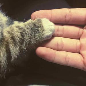 国产99精品视频
