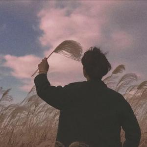 国产99精品视频
